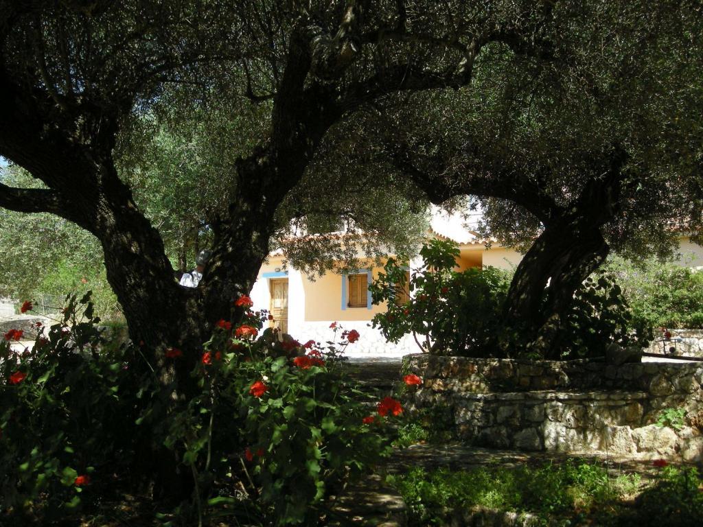 Il Veliero Apartment Fiskardo Bagian luar foto